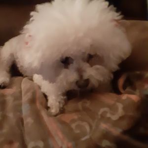 Meet your Posher, Lynne